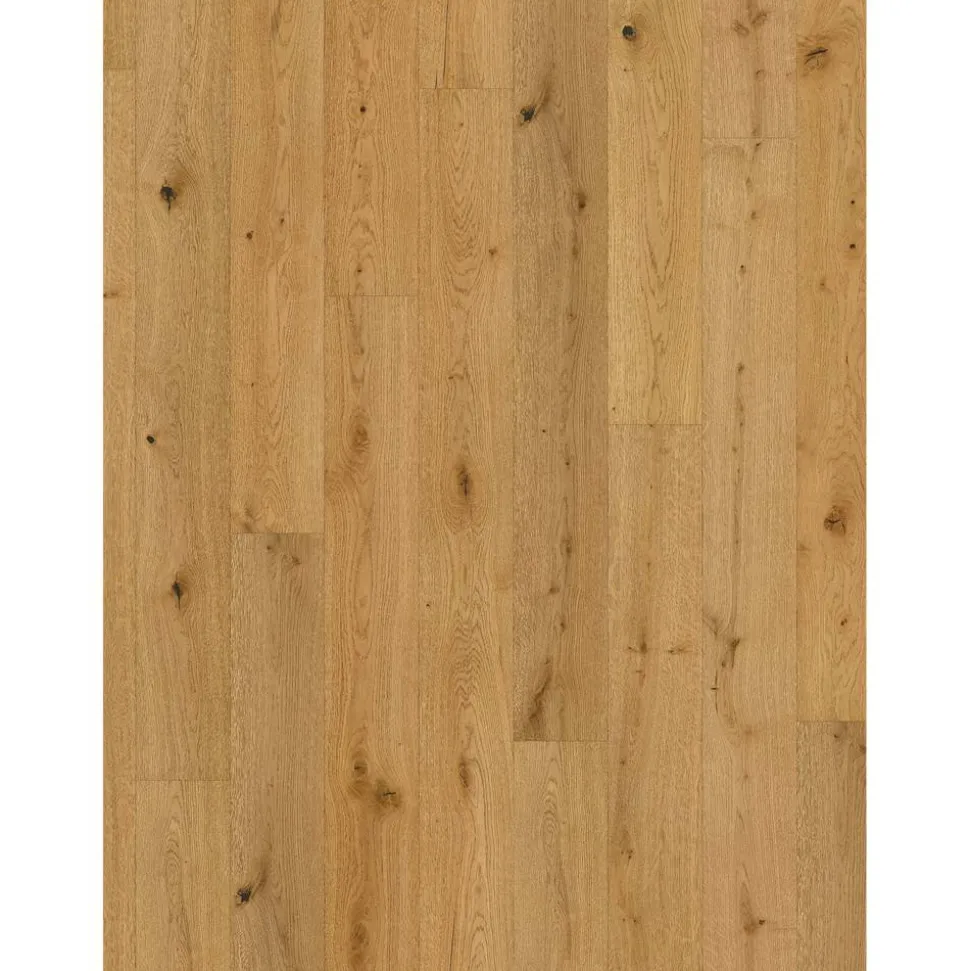 Parkett 'Classic 3060' Eiche naturgeölt plus braun 13 mm