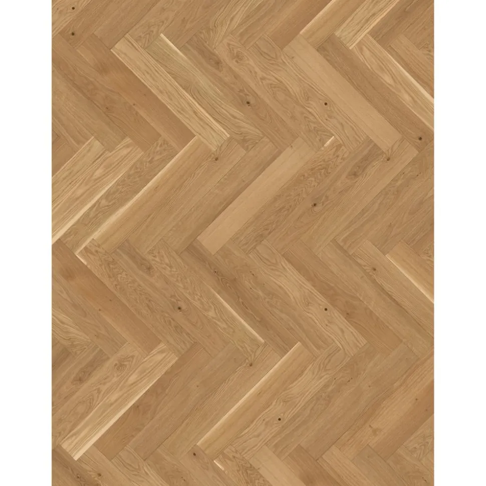Parkett 'Trendtime 3 Living' Eiche naturgeölt plus hellbraun 10,5 mm