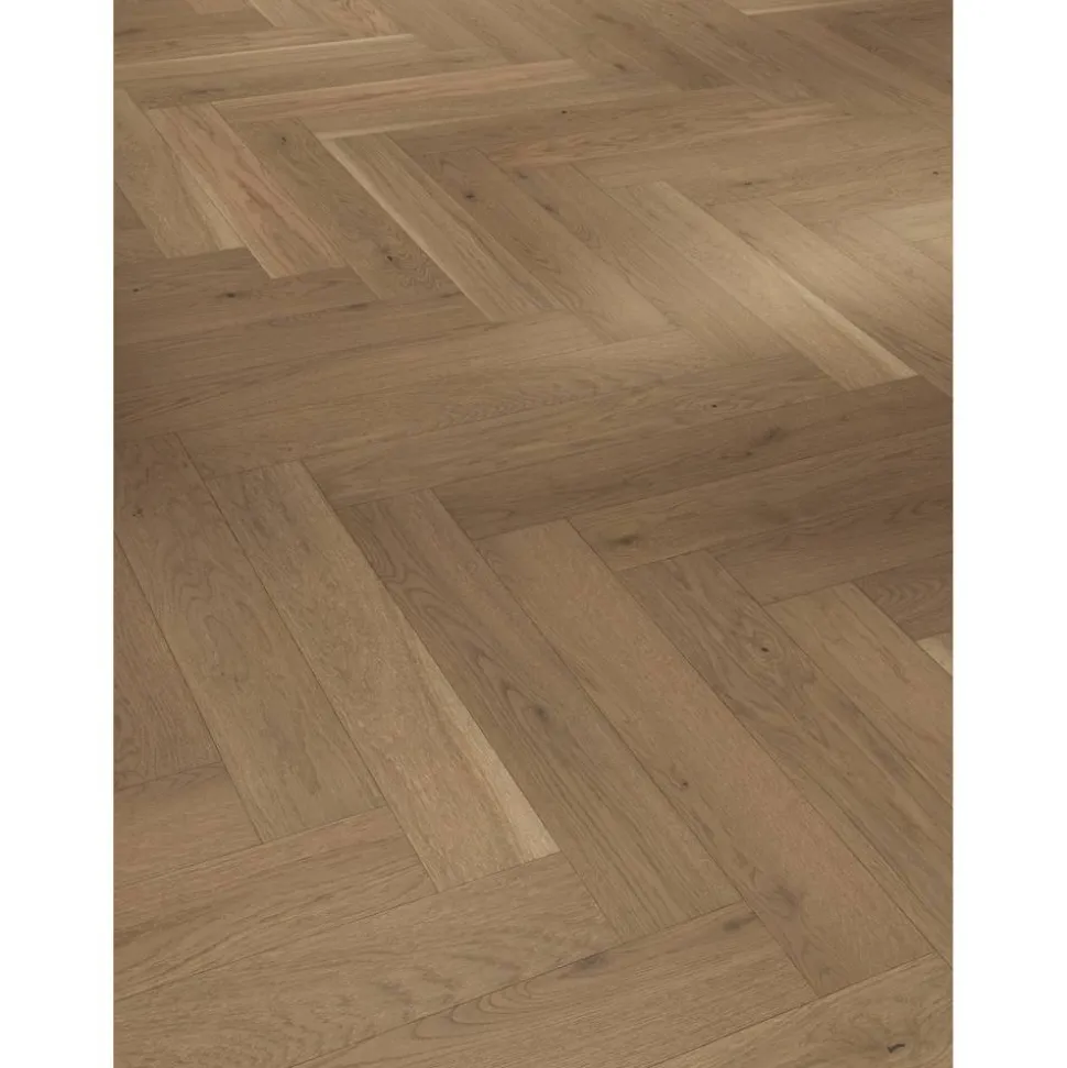Parkett 'Trendtime 3 Living' Eiche lackversiegelt matt braun 10,5 mm