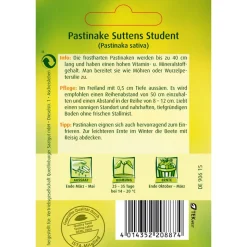 Pastinake 'Sutten Student'
