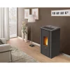 Pelletofen 'Vera' Stahl schwarz 7 kW