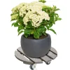 Pflanzenroller WPC 'GH 0536' Ø 29 cm taupe