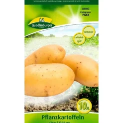Pflanzkartoffel 'Cilena' gelb 10 Stück