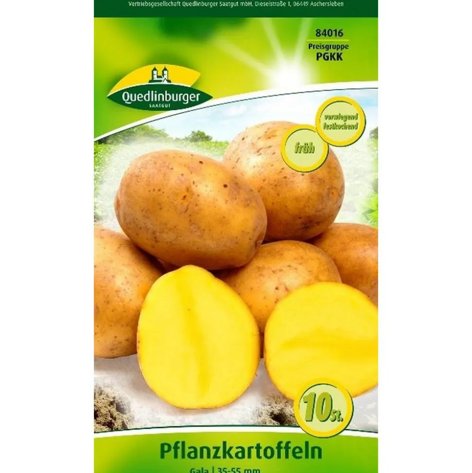 Pflanzkartoffel 'Gala' gelb 10 Stück
