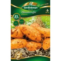 Pflanzkartoffel 'Goldmarie' gelb 10 Stück