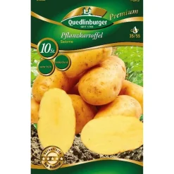 Pflanzkartoffel 'Salome' gelb 10 Stück