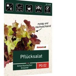 Pflücksalat 'Amerikanischer brauner'