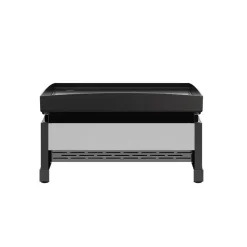 Plancha-Gasgrill 'Austin II' 2 Brenner