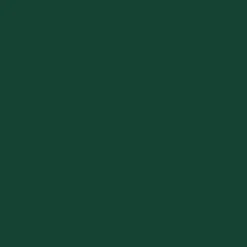 Premium-Buntlack moosgrün seidenmatt 500 ml