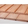 Profilholz Kombiprofil Douglasie gehobelt 19 x 121 x 3000 mm A/B-Sortierung
