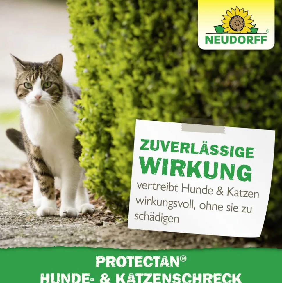 Protectan Hunde- und Katzenschreck 500 ml