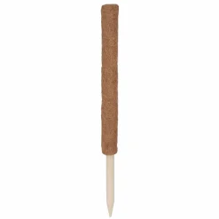 Rankstab Kokos 60 cm