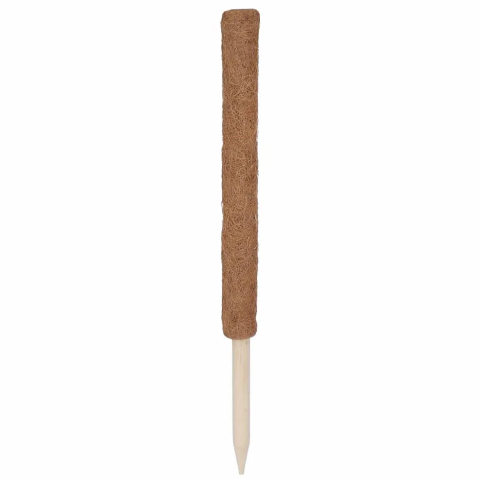 Rankstab Kokos 60 cm