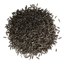 Rasennachsaat 'Power' 0,3 kg für ca. 25 m²