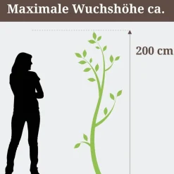 Rispenhortensie "Vanille Fraise"