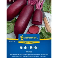 Rote Bete 'Taunus' F1-Hybride