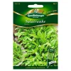 Salatrauke "Rucola"