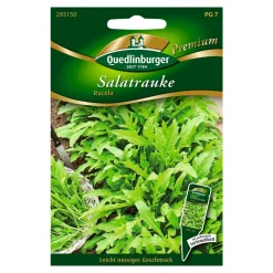 Salatrauke "Rucola"