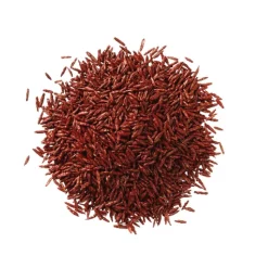 Schattenrasen 1 kg für ca. 50 m²
