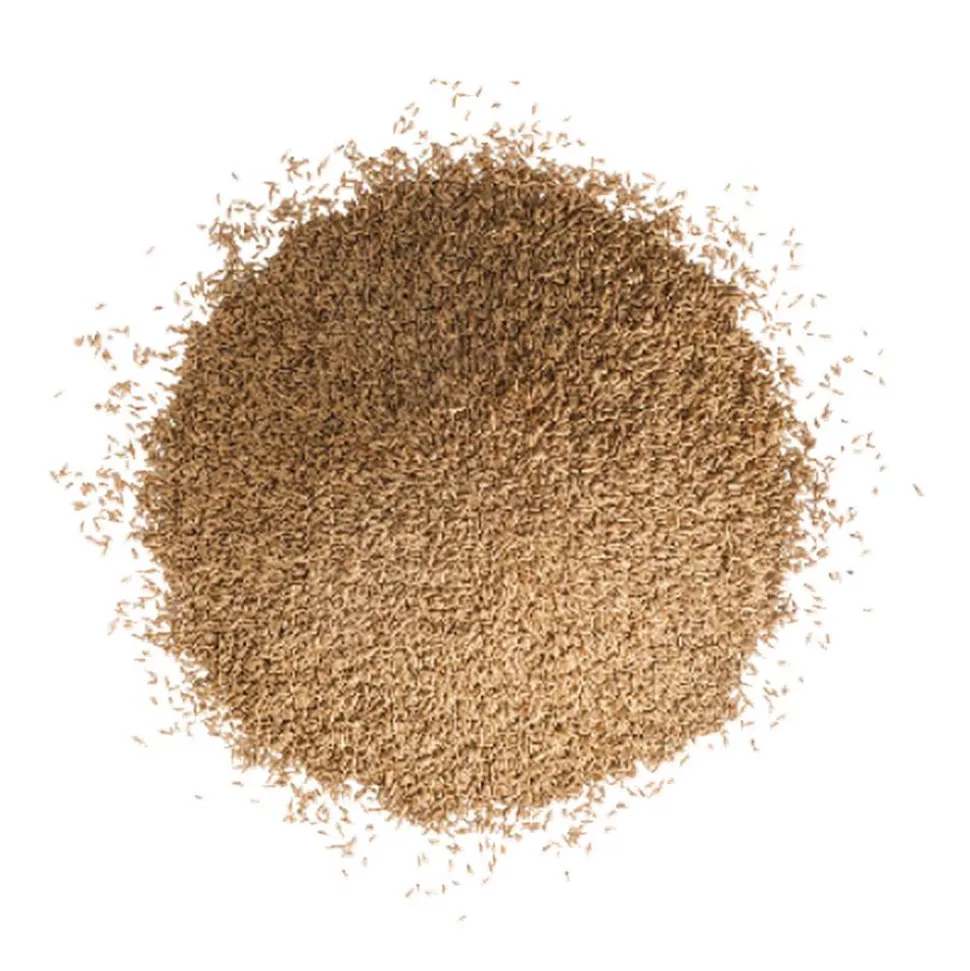 Schattenrasen 0,3 kg für ca.15 m²