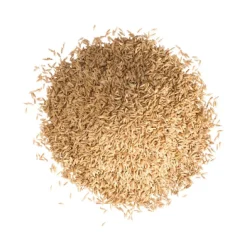 Schattenrasen 0,3 kg für ca.15 m²