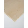 3-Schicht-Ausbauplatte B/C 'plus' Fichte geschliffen 1250 x 625 x 19 mm