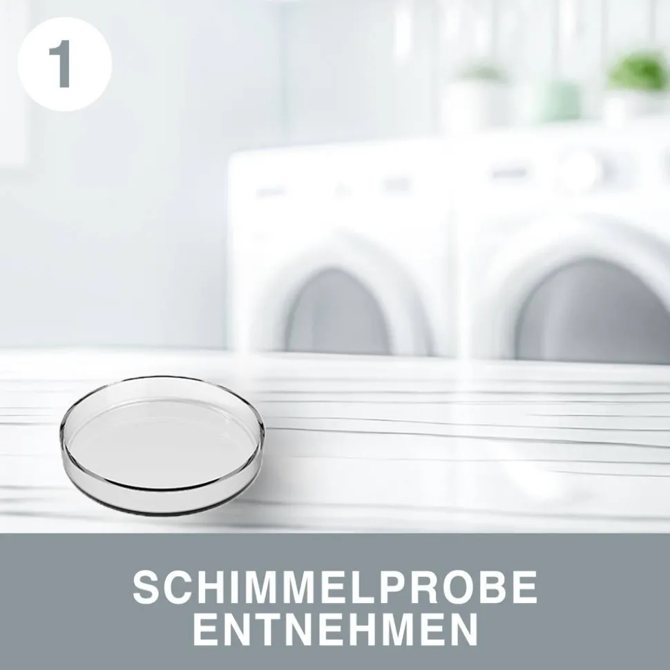 Schimmel 'Schnelltest' zur Selbstauswertung 4er-Set