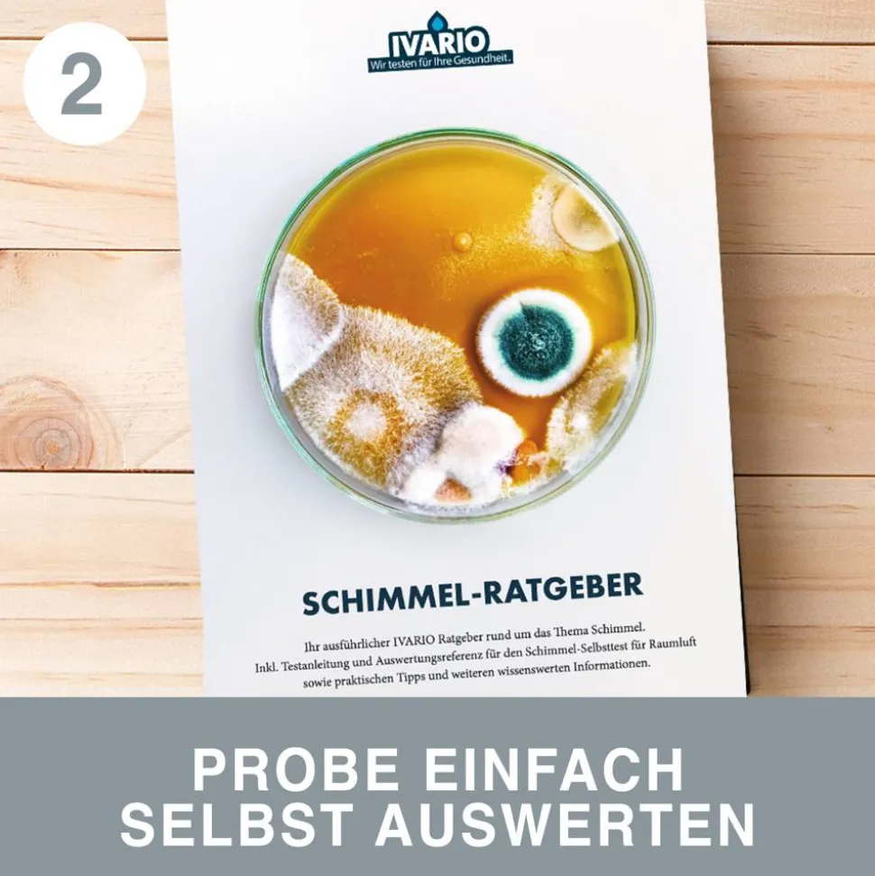 Schimmel 'Schnelltest' zur Selbstauswertung 4er-Set