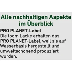 Schultafel-Lack schwarz matt 750 ml