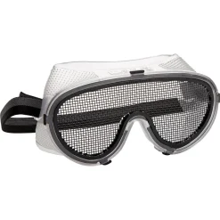 Schutzbrille