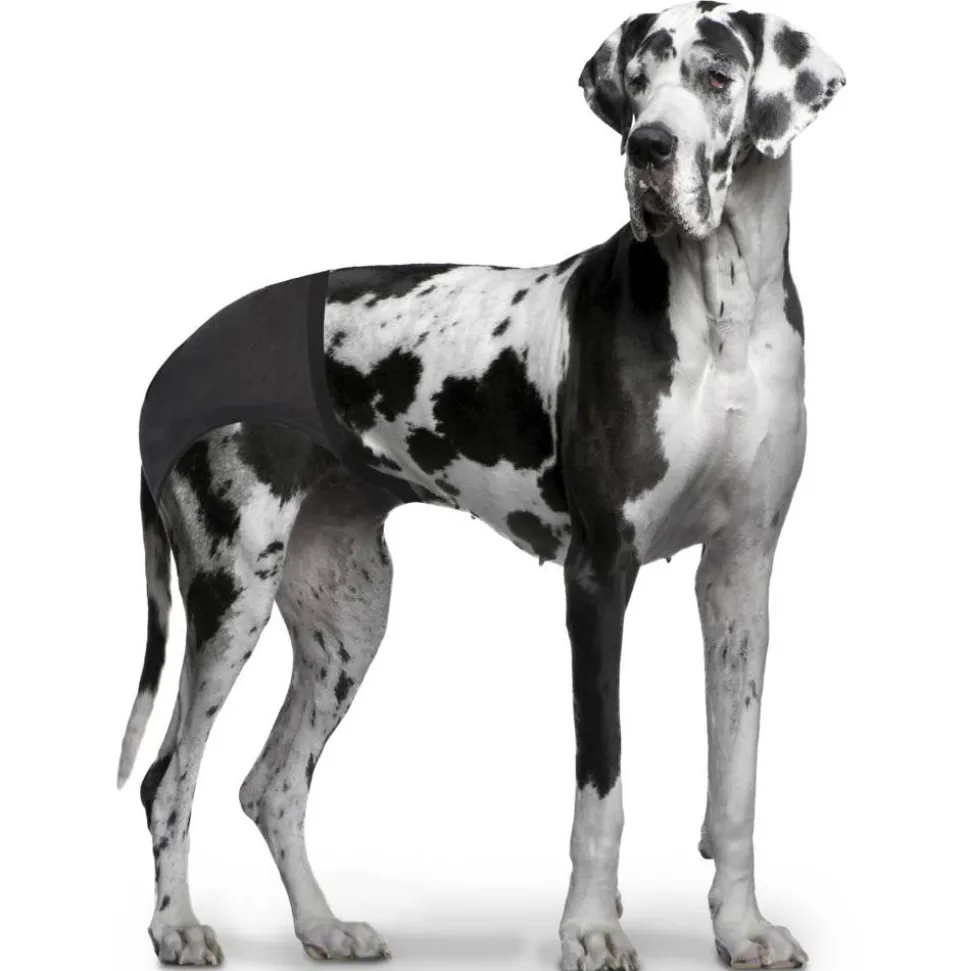 Schutzhose für Hunde schwarz 12,5 x 50-59 cm