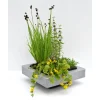 Schwimminsel inkl. 4er Set Pflanzen, 19 cm Topf