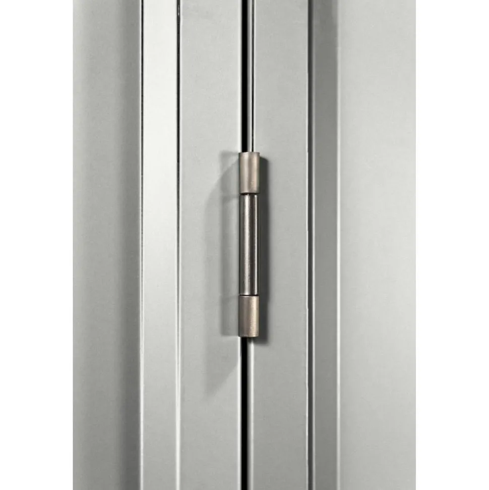 Schwingtür für Gerätehäuser 'Skillion/Dream/Lean-To' silber-metallic