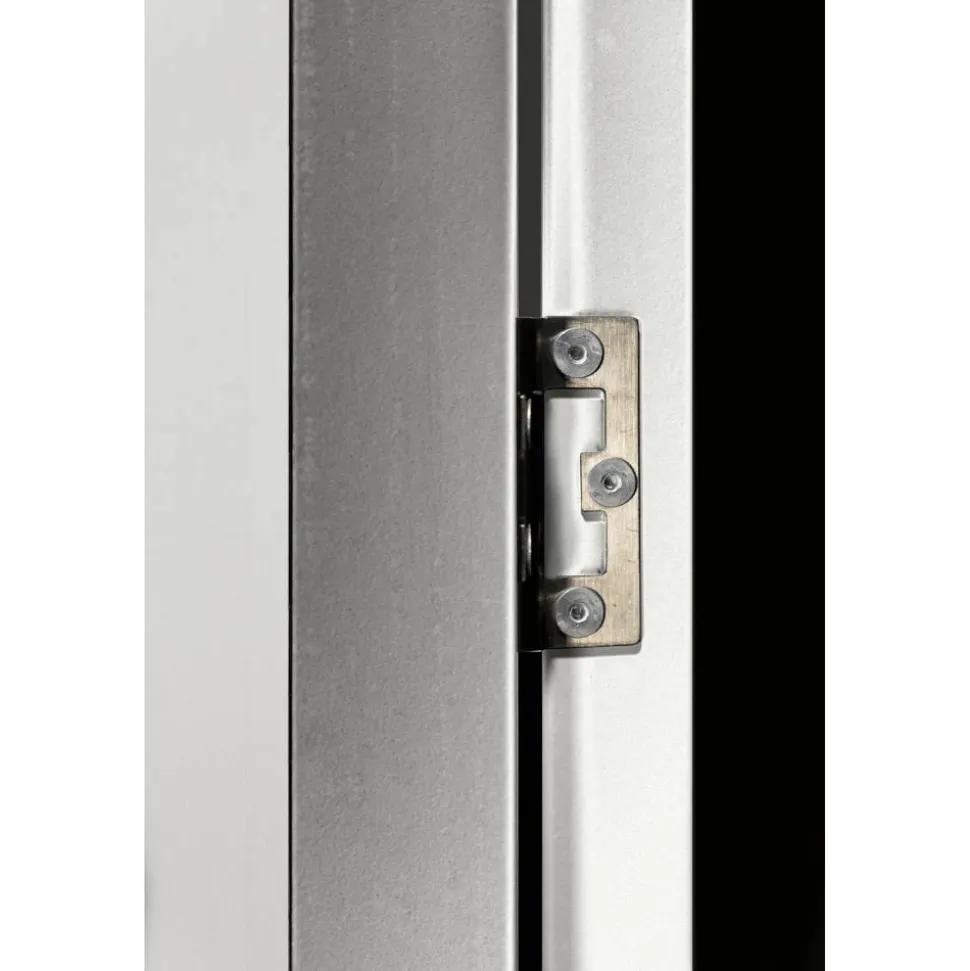 Schwingtür für Gerätehäuser 'Skillion/Dream/Lean-To' silber-metallic