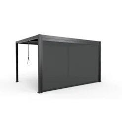 Seitenmarkise UV-beständig 369,8 x 217,5 cm