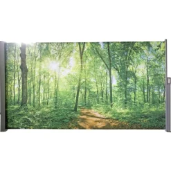 Seitenmarkise 'Waldlichtung' 300 x 160 cm