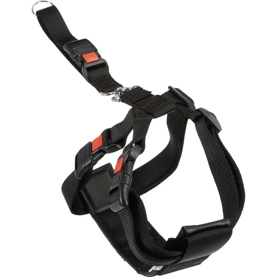Sicherheistgeschirr für Hunde schwarz Gr. L 50 - 70 cm