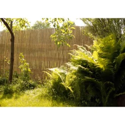 Sichtschutz 'Shanghai' Bambus natur 150 x 300 cm