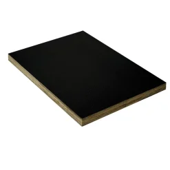 Siebdruckplatte 1250 x 2500 x 21 mm