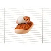 Sitzbrett für Nager 17 x 8 x 4 cm