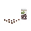 Snackkegel Rote Beete/Pastinake 10 Stück