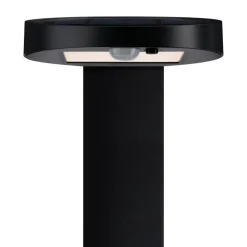 Solar-Wegeleuchte 'Ryse' mit Bewegungsmelder anthrazit 15,4 x 79,6 x 19,4 cm