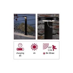 Solar-Wegeleuchte 'Ryse' mit Bewegungsmelder anthrazit 15,4 x 79,6 x 19,4 cm
