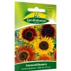 Sonnenblumen 'Herbstschönheit'