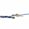 Spanngurt mit Haken 5 m x 25 mm
