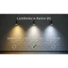 Spiegelschrank 'Numa LED' weiß matt 58 x 59,5 x 23 cm