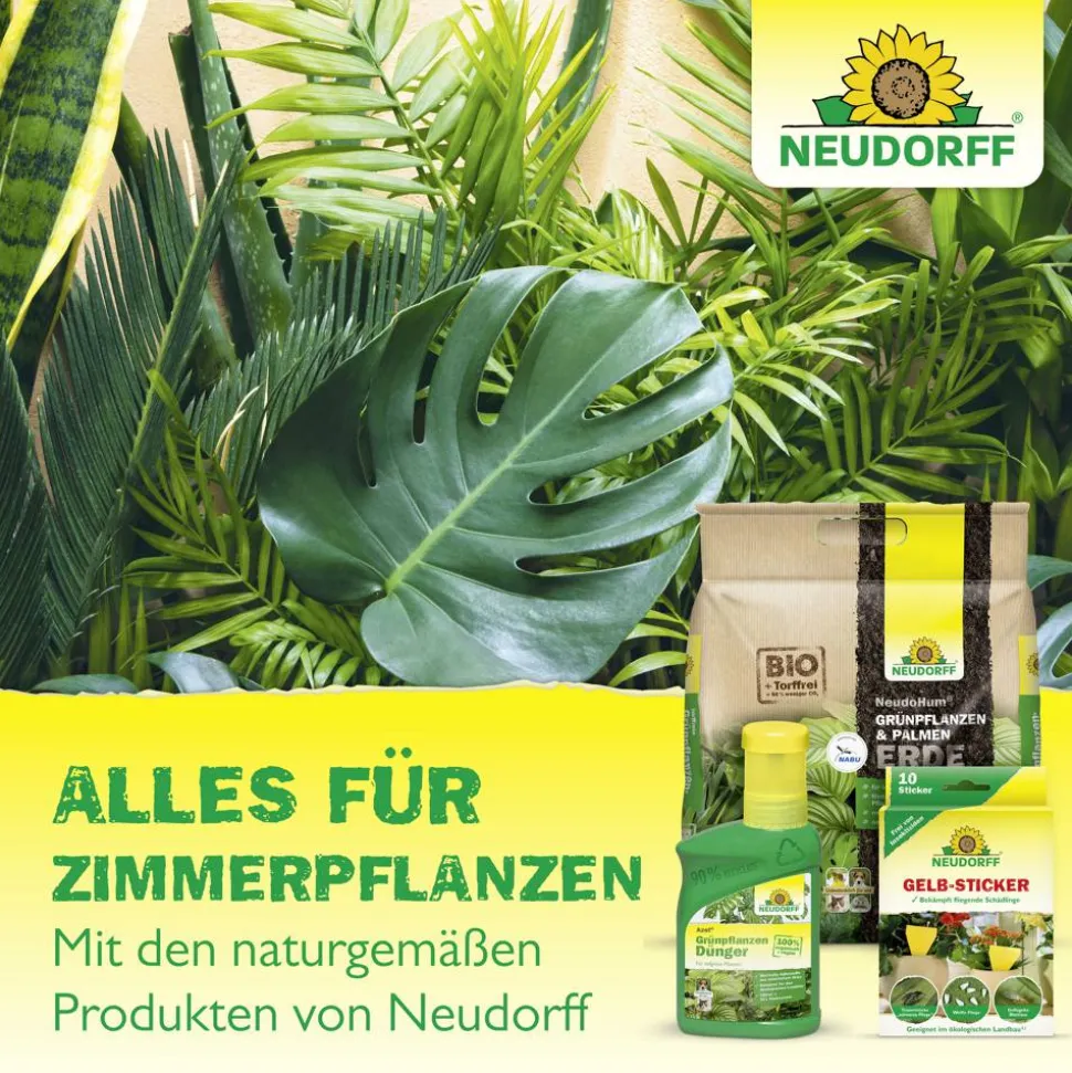 Spruzit Trauermückenfrei 30 ml
