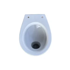 Stand-WC spülrandlos 'DNP' inklusive WC-Sitz weiß