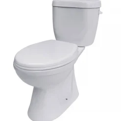 Stand-WC-Set mit Spülrand 'DNP' inklusive WC-Sitz und Spülkasten weiß