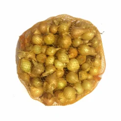 Steckzwiebeln "Stuttgarter Riesen" 500 g